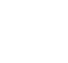 Spring Springs: A Deep Dive into Coil Springs and Their Vital Role in Everyday Life